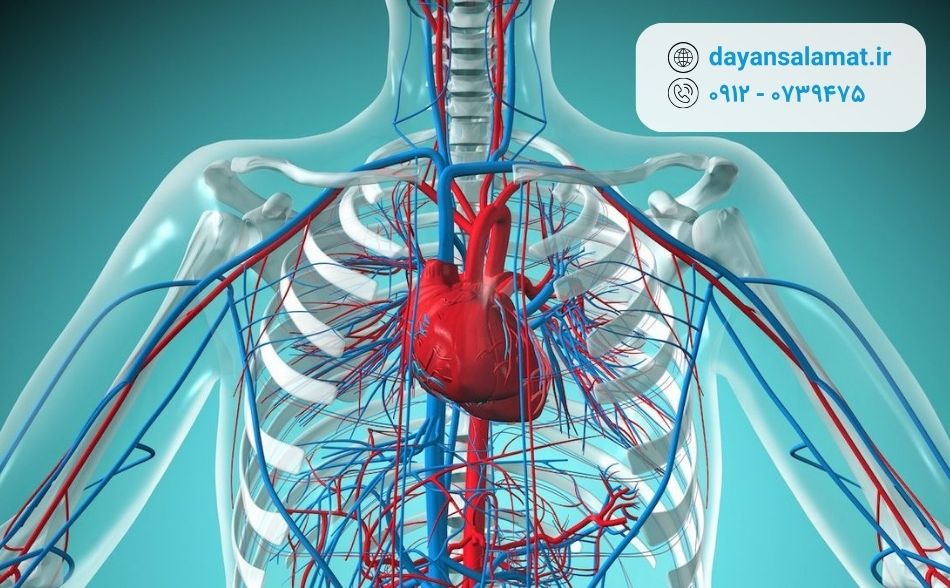 عوارض احتمالی آنژیوگرافی قلب